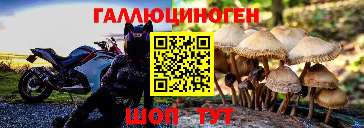 Псилоцибиновые грибы Psilocybine cubensis  Вход с VPN  Ульяновск 